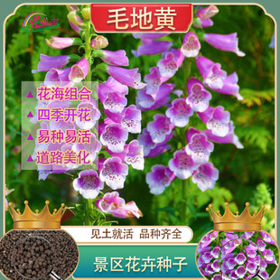 �޸�ë���S���N�ӹ��̾G������S����ָ�����N�ӵ��R���^�p����