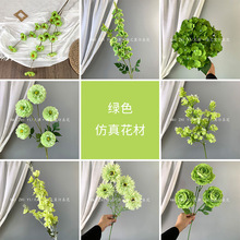 �Gɫϵ���滨 ����Gֲ��Y�ò����ٻ�·���廨�ҾӾƵ��̈��[�O