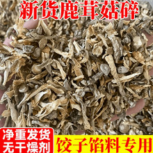 ���x��؛¹�׹���Ƭ�������r��Ӱ����W�W��ò���x�W��ʳ��