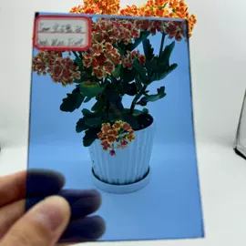原片玻璃;深加工玻璃;浴室镜
