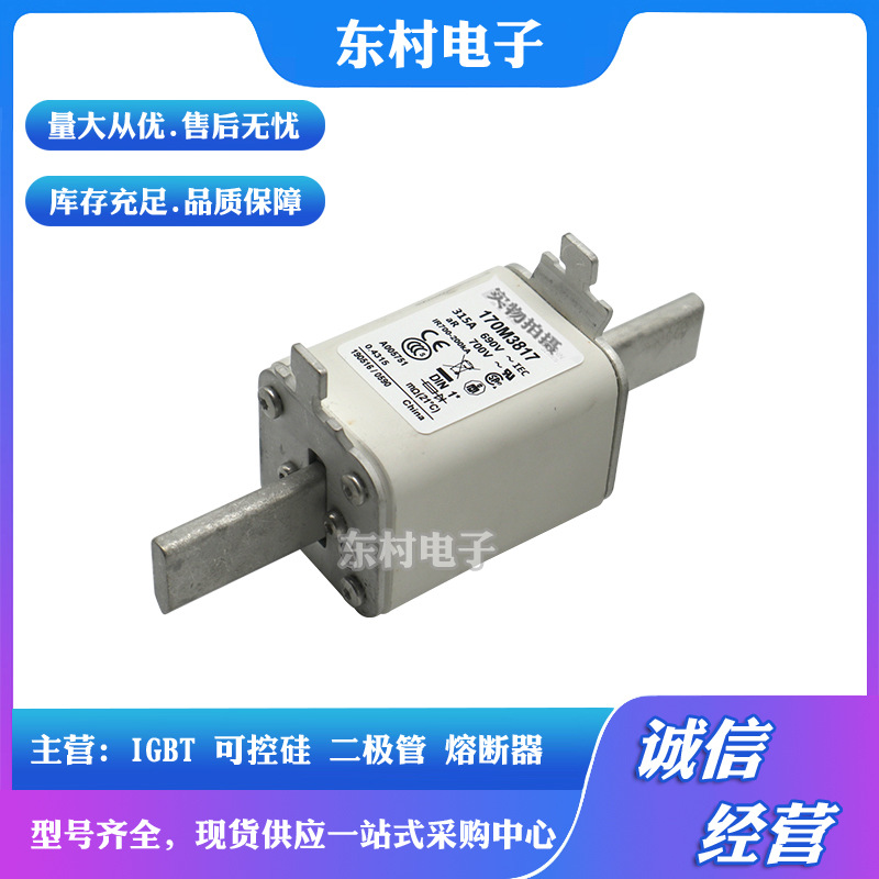 熔断器170M3927 170M3928 170M3929 170M3930 170M3931全新现货