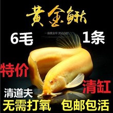 С���^�p�~��С�~��ݽ��~���~�S�����q����ˮ�~�\���~�������B