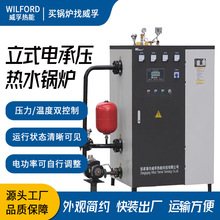 立式电承压热水锅炉 加热采暖蒸煮消毒 全自动一体式恒温节能设备