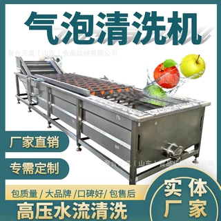 定制秋葵梅菜清洗风干线洗菜机洗果机喷淋式果蔬气泡清洗流水线