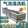 风干喷淋定制气泡洗果机