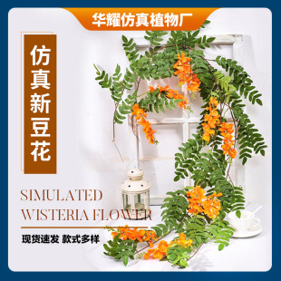 ���ٻ����������Ͻ����p�@�����c�b������ٻ��ٗl����ֲ�ﻨ��