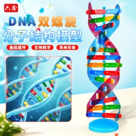教学演示用品;数理教学器材;其他簿本册