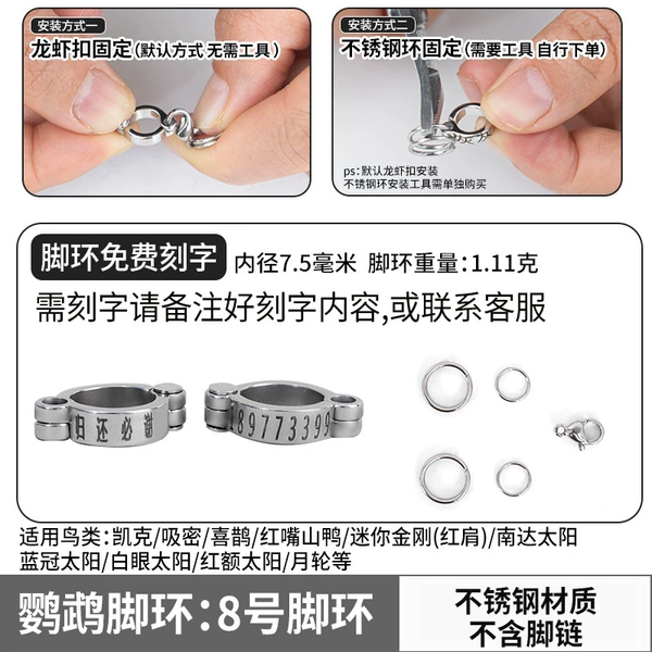 [Keck/Magpie/Red-billed Chough, etc.] No. 8 stainless steel anklet (the buckle does not hurt the feet)
