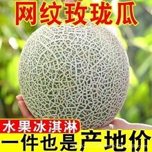 ����õ���W�y�۹ϳ������������Ϲ��ܹϑ���ˮ���жY���b