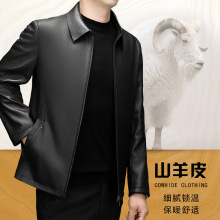 2024秋冬季男式绵羊皮皮衣翻领拉链宽松型中青年男装真皮外套