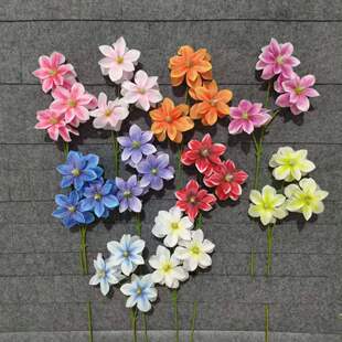 ��c���滨3D���m�� 3�^�ٺϻ�c��Y��·�����Ż�Y�bٻ�