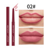 Waterproof automatic matte multicoloured lip pencil, does not fade, European style, wholesale