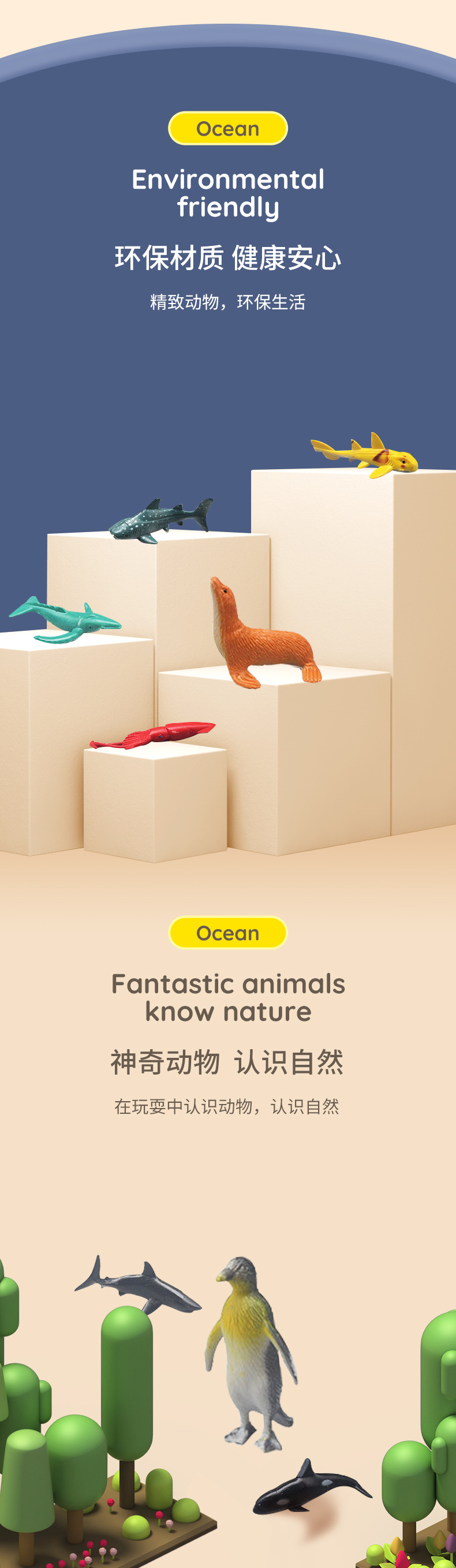 1海洋动物详情_03