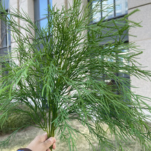 ���l����Gֲ �J���� �bGֲ�ϼ� ��c�ưɲ͏d�����b����