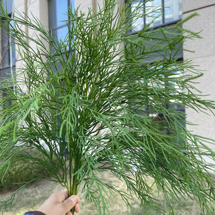 ���l����Gֲ �J���� �bGֲ�ϼ� ��c�ưɲ͏d�����b����