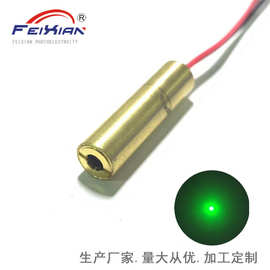 532nm10mw8X30mm点状绿色激光模组 激光定位器 激光头 激光指示器
