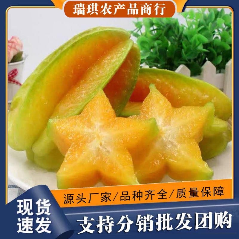 正宗福建杨桃5斤整箱新鲜当季水果10批发包邮3台湾五角星红杨桃洋