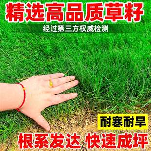 �����ļ����ఫ���ͺ�ͥԺ��ƺ�o�¹����������ݾG����Ƥ�ݷN����