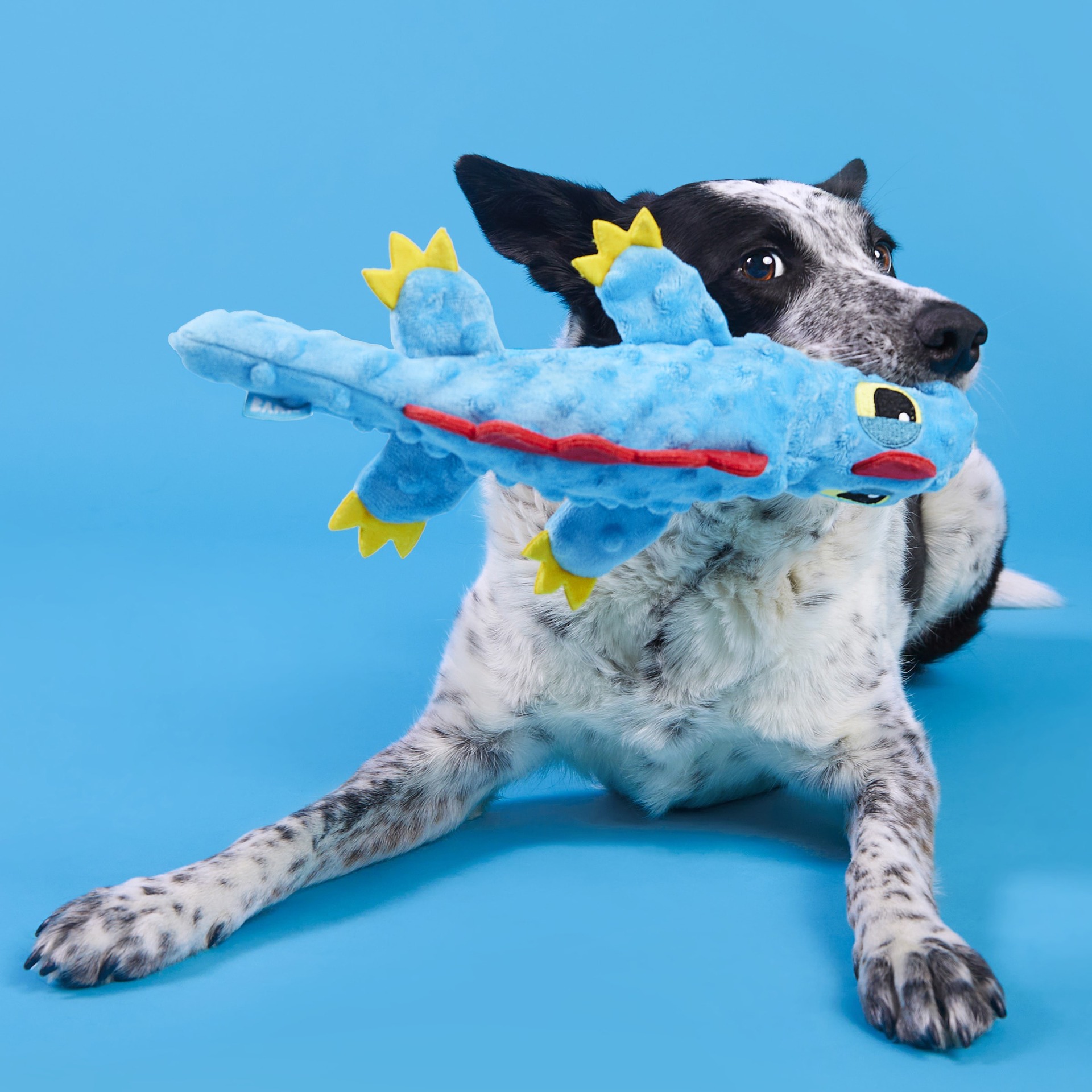 Productos transfronterizos para mascotas lagarto bb llamado sonido mascotas juguetes de peluche juguetes perros no mordidos comercio exterior