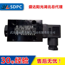 ����CMS-Z�͉���lӍ�����Q����32MPa�lӍֵ0.35MPa������