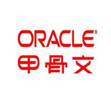 Oracle 甲骨文 中文數據庫標准版 2CPU 數據庫軟件 原廠下單