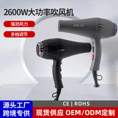 業務用ヘアドライヤー、サロン専用、電動、ハイパワー、理髪店、家庭用、強風