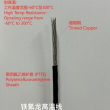 ¡늘IߜF늾PTFE^͟|͸g|