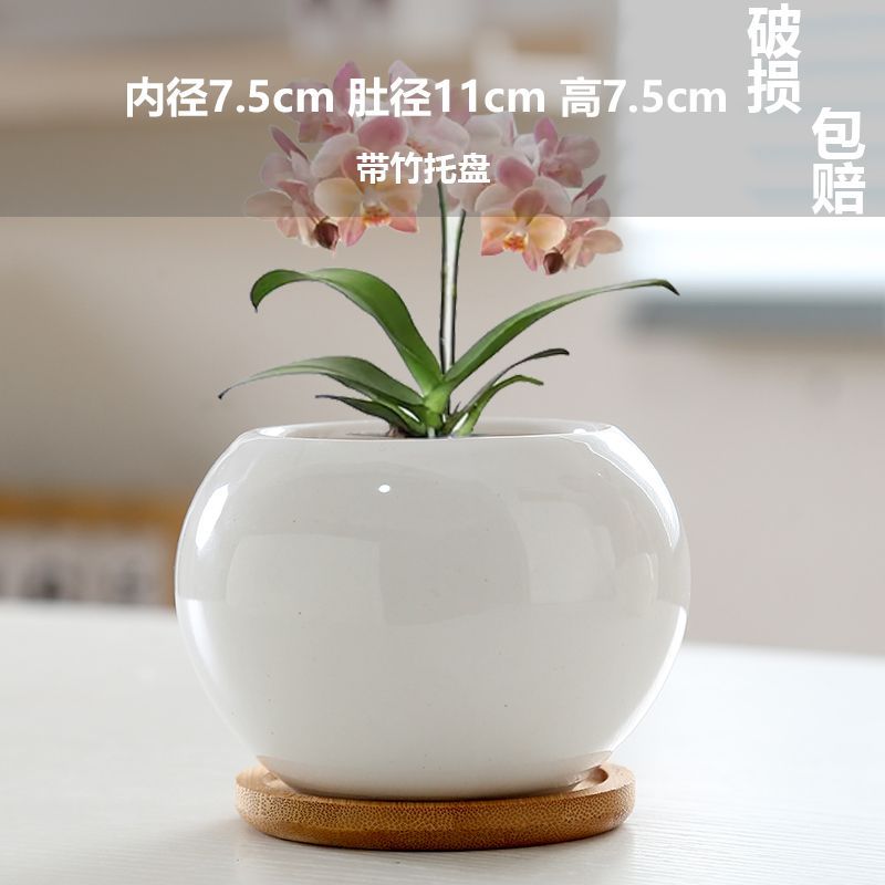 Single bright white ball (with no. 8 bamboo mat)