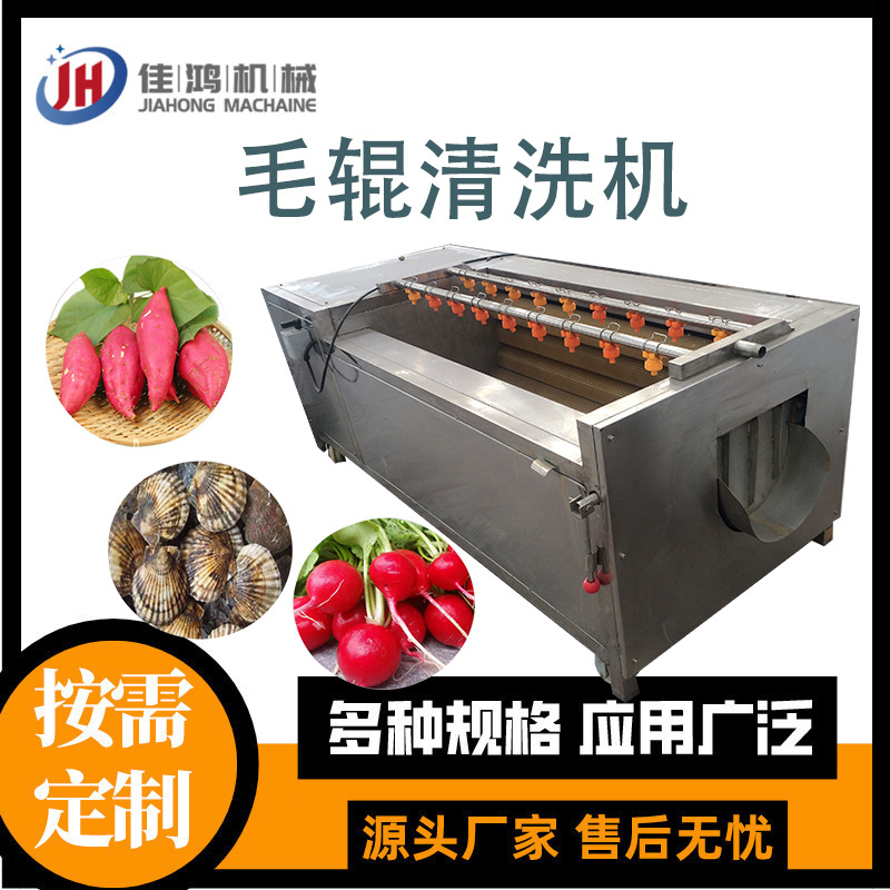 海蛎子清洗设备 土豆芋头去皮清洗机 全自动商用毛辊清洗机佳鸿