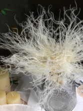 进口羽毛永生花材高端配材干花真花装饰梦幻花束草diy仙气婚庆