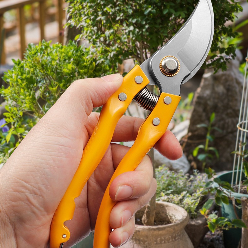 168-1  经典花卉水果剪切工具 盆景修剪器 65 锰钢花园农用果树剪