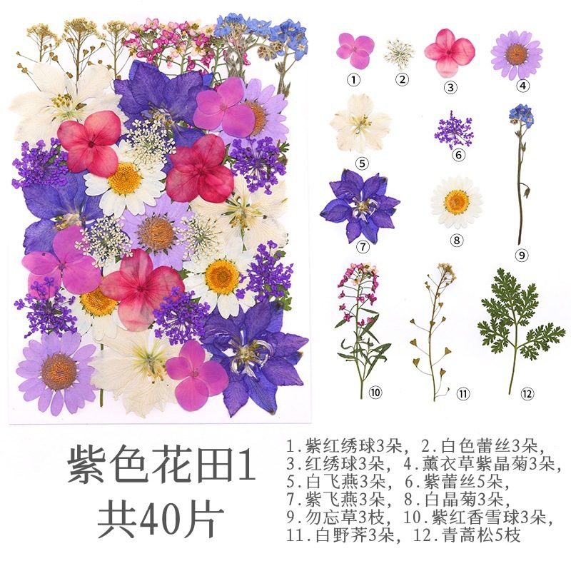 보라색 꽃밭(40송이)