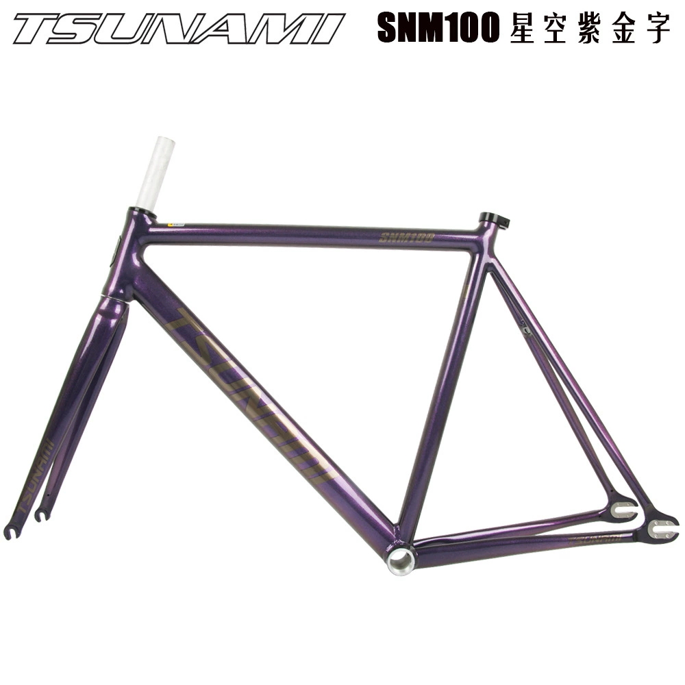 TSUNAMI Tsunami Summy SNM100 Pioneer Dead Flying Aluminum Alloy Racing Site Bicycle frame