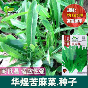 ����˷N�� �r��ˈ@�����Կ����˿��I��������߲�Ұ�������l