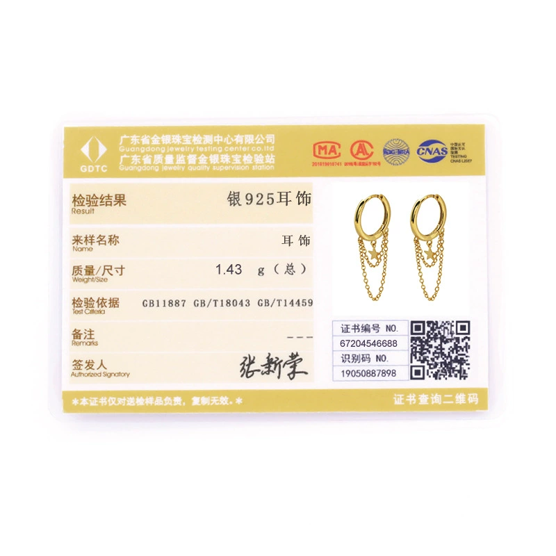Chain, design pendant, fashionable trend brand earrings, silver 925 sample, trend of season, European style