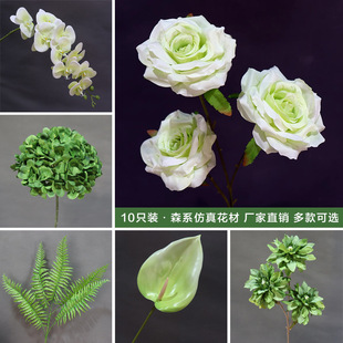 ɭϵ���滨10֧�b��픾Gֲ�~�ӻ�c�G�������~�b��߻��٘��~