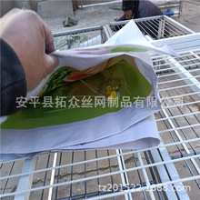 ���ЂȾW؛��  �F��չʾ��С���  �̲迧��ƿ�b��м�