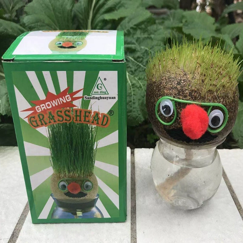 Длинная трава giegie борода Кукуруза корейский стиль кукла трава африканская кукла голова травы кукла креативный посадка в горшке подарок