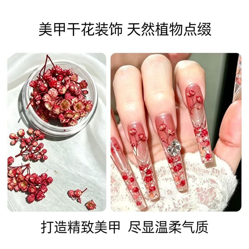 Popular Nail Art Dried Flower Series, Natural Plant Dried Flowers Available in 6 Colors, Long-Lasting and Durable DIY Nail Decoration Popular Nail Art Dried Flower Series, Natural Plant Dried Flowers Available in 6 Colors, Long-Lasting and Durable DIY Nail Decoration