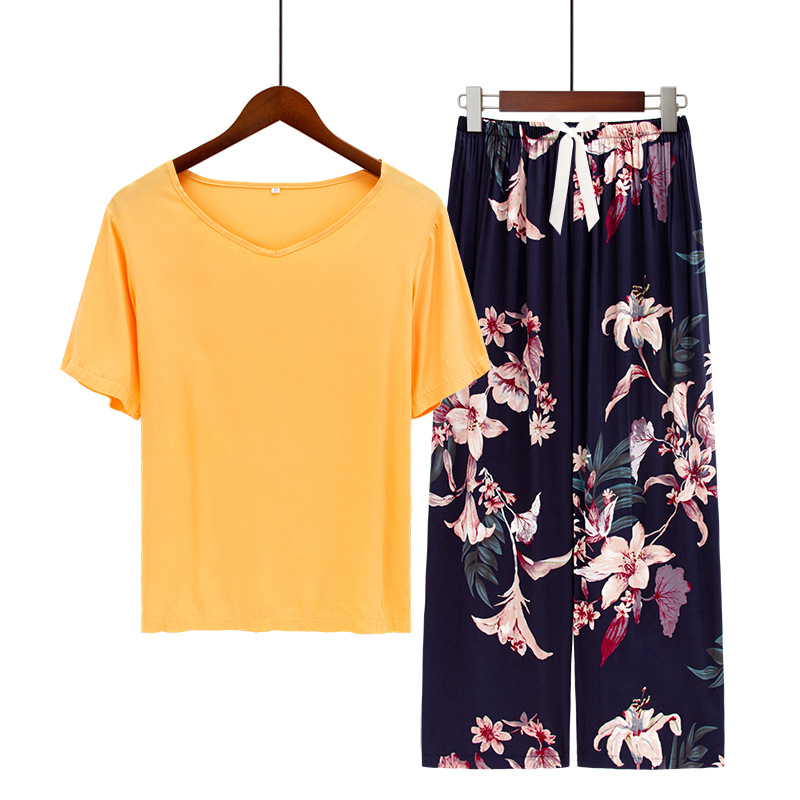 오렌지 T 나팔꽃