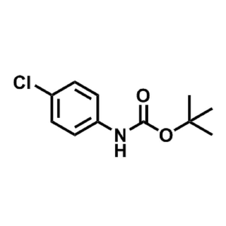 (4-氯苯基)氨基甲酸叔丁酯  CAS:18437-66-6  98%  现货供应