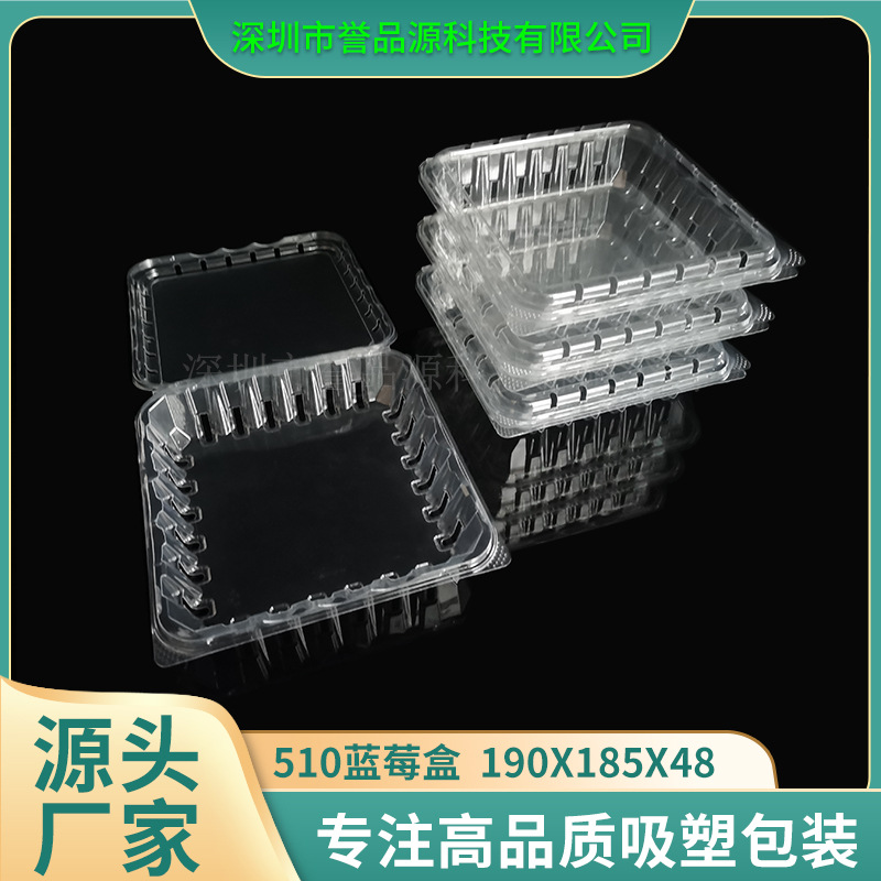 500克装蓝莓包装盒透明带盖PET材质水果包装盒蓝莓草莓水果打包盒