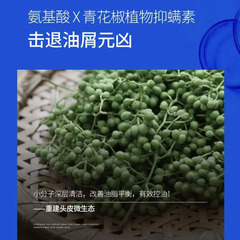 The same L'Occitane Green Sichuan Pepper Amino Acid Shampoo—Dandruff-Control & Oil-Regulating, with Lasting Fragrance—500ml