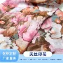 数码春夏印花时尚吊带衫