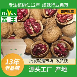 2025��؛��ϼt�ʼ�Ƥ���� ��Ƥ�ɺ��ҼtƤ���ҷ��½����ҹ� ���]