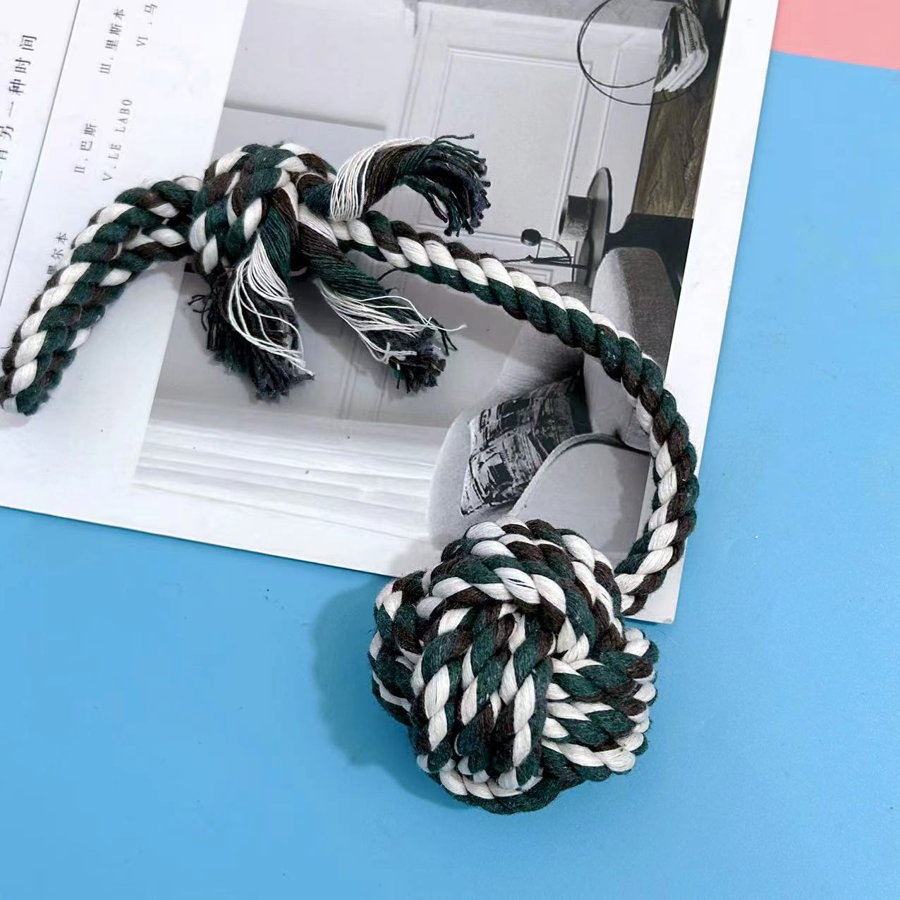 展仑2