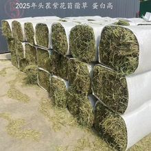 ���a�ϻ���ޣ�ݸɲ����ɫ�Gˮ�ְ�ȫ����r��