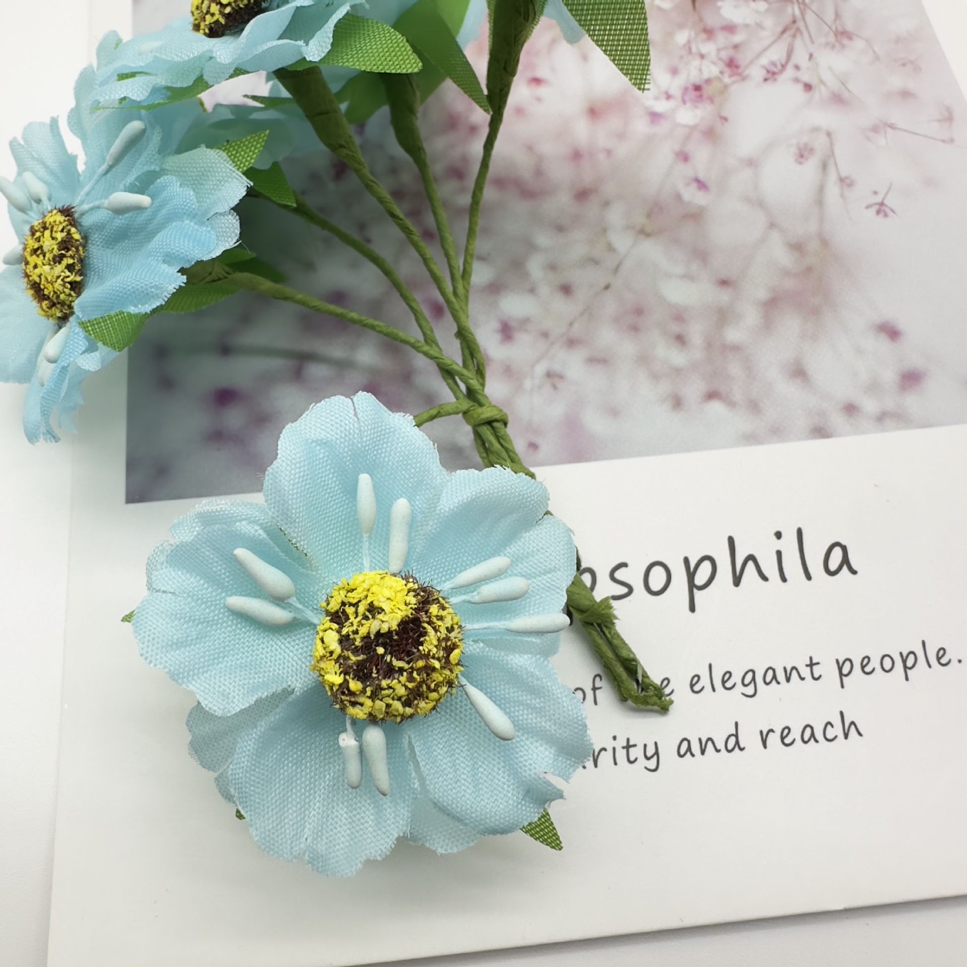 블루(팩당 60송이)