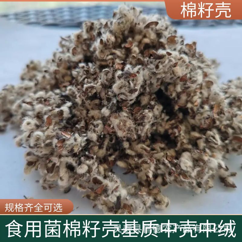 棉籽壳