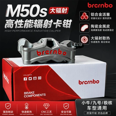 Other brake systems 100 locking points, suitable for modification
